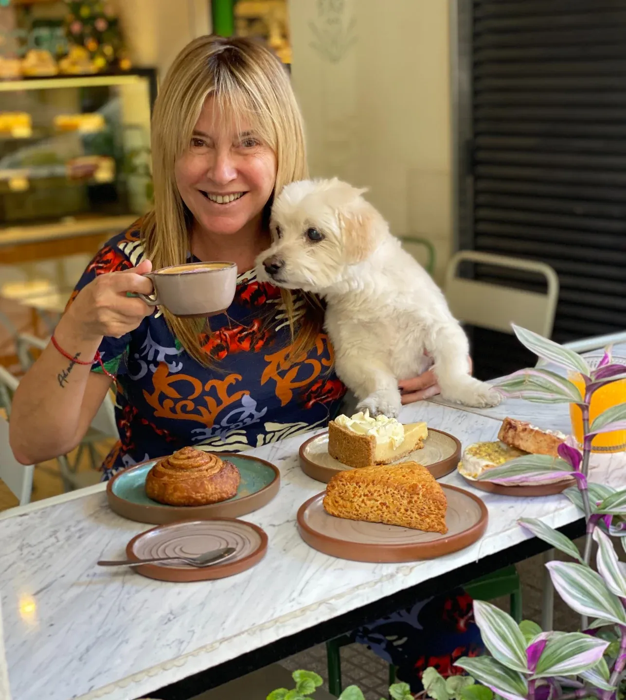 YUCCA pet friendly